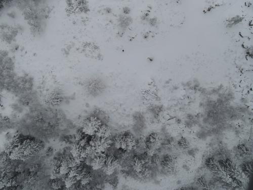 DJI_2313.JPG
